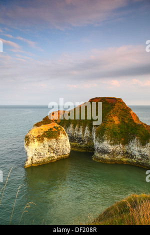 Vue sur la mer depuis les falaises de High Stacks Arch, le Drinking Dinosaur du Flamborough Yorkshire Banque D'Images