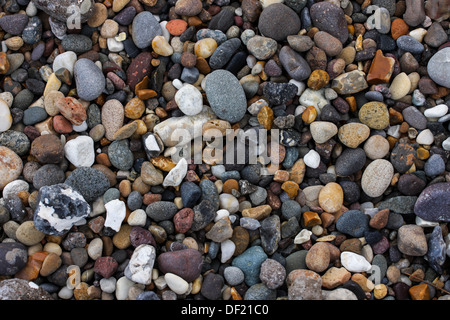 Close up de galets sur une plage Banque D'Images