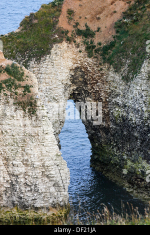 Sur la mer à partir de la falaise à Flamborough Yorkshire Banque D'Images