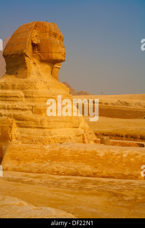 Le coucher du soleil. Sphinx sur l'arrière-plan de la pyramide. Le sable dans l'air. Bedouin sur un chameau. Banque D'Images