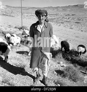 Tableau historique de l'Afghanistan prises par J Allan l'argent dans les années 1950, d'un Afghan male berger avec son bétail. Banque D'Images