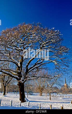 La neige, le ciel bleu et les arbres à feuilles caduques à Stratford upon Avon, Warwickshire, Angleterre Banque D'Images