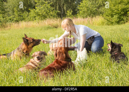Entraîneur de chien femelle alimente un chien avec goodies après la formation Banque D'Images