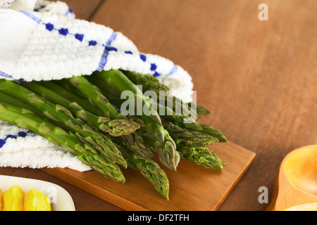 L'asperge verte crue enveloppée dans un torchon posé sur une planche en bois (Selective Focus, Focus sur les têtes d'asperges à l'avant) Banque D'Images