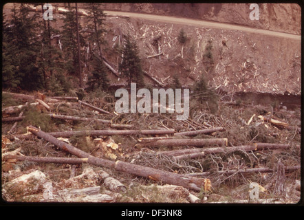 Cette image montre la coupe à blanc de sapins Douglas et de pruches de deuxième croissance dans le système de drainage de la rivière Canyon dans la forêt nationale Olympic, mettant l'accent sur les activités d'exploitation forestière dans une forêt nationale. Banque D'Images