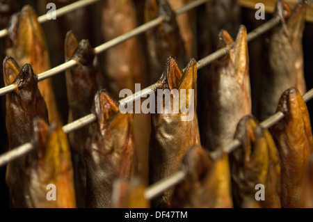 Severn Wye & Smokery,où les anguilles sont produites à partir de civelles,retourné à la rivière Severn, pris en tant qu'adultes et fumé pour la nourriture.un poisson au Royaume-Uni Banque D'Images