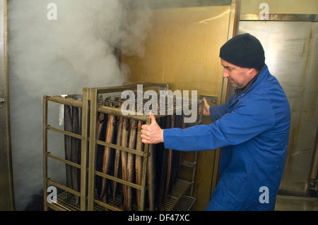 Severn wye & smokery,où les anguilles sont produites à partir de civelles,retourné à la rivière Severn, pris en tant qu'adultes et fumé pour la nourriture.un poisson au Royaume-Uni Banque D'Images