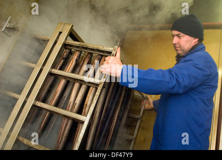 Severn Wye & Smokery,où les anguilles sont produites à partir de civelles,retourné à la rivière Severn, pris en tant qu'adultes et fumé pour la nourriture.un poisson au Royaume-Uni Banque D'Images