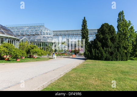 Grande serre du Jardin botanique de Berlin Banque D'Images