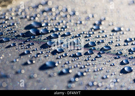 Close up macro photographie de gouttelettes d'eau Banque D'Images