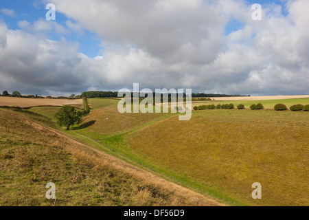 Les prés en pente raide d'Horsedale dans le Yorkshire Wolds sous un ciel nuageux bleu ciel d'été. Banque D'Images