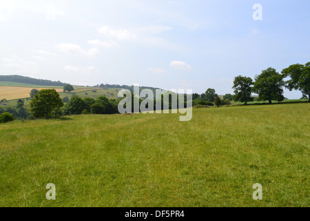 L'été dans le Dales. Banque D'Images