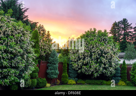 Magnifique coucher de soleil dans un joli jardin de banlieue près de Portland, Oregon Banque D'Images