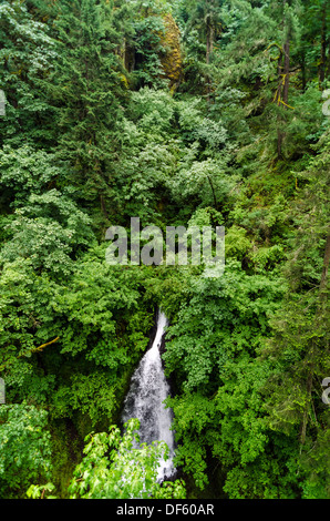 Dans l'Oregon cascade chute à travers une belle forêt luxuriante Banque D'Images