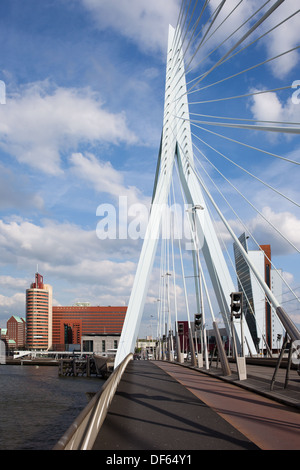 Pylône du pont Erasmus (Erasmusbrug), un pont suspendu à haubans dans la ville de Rotterdam, Pays-Bas. Banque D'Images