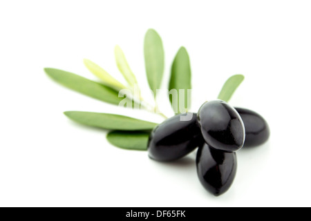 Olives noires avec des feuilles sur fond blanc Banque D'Images