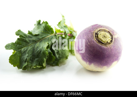 Tête violet navet sur fond blanc Banque D'Images