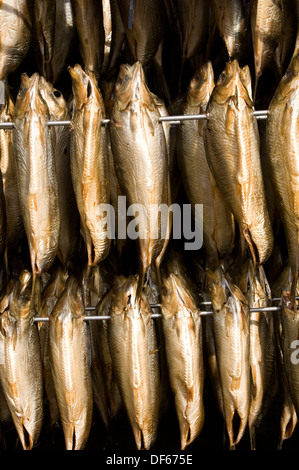 Kippers kipper le poisson fumé saveur fumée fumée fumer harengs hareng Arbroath Smokies traditionnelle présentation méthode m Banque D'Images