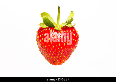 Red Strawberry isolated on white Banque D'Images