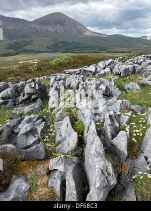 Cliniques et grykes dans la roche de dolostone / calcaire patinée avec Red Cuillin Mountain Beyond, Strath Suardal, île de Skye, Écosse, Royaume-Uni Banque D'Images