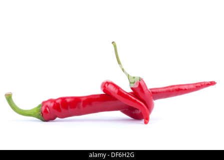 Deux gousses de piment rouge sur un fond blanc. Banque D'Images