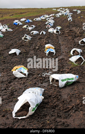 Sacs de gazon (blocs de tourbe pour la gravure) sèche dans les champs le long de la R250 à l'ouest de Letterkenny, comté de Donegal, Irlande. Banque D'Images