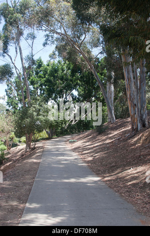 Trail ou un sentier qui serpente dans le Balboa Park, San Diego, CA. Banque D'Images