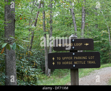 Sentier en bois signe sur sentier forestier disant boucle étang Banque D'Images