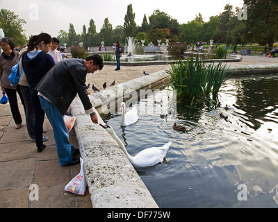 Cygnes blancs dans les jardins italiens, les jardins de Kensington, Hyde Park, Londres, Angleterre, Royaume-Uni Banque D'Images