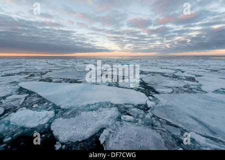 Des blocs de glace, la banquise, l'humeur du soir, l'océan Arctique, l'archipel du Svalbard, l'île de Spitsbergen, Svalbard et Jan Mayen (Norvège) Banque D'Images