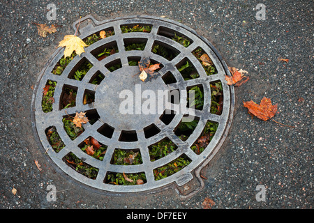 Tour d'égout sur l'asphalte sombre avec des feuilles d'automne et à l'intérieur de l'herbe verte Banque D'Images