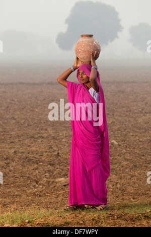 L'Inde, Uttar Pradesh,femme marche à travers champ misty portant de l'eau pot sur sa tête Banque D'Images