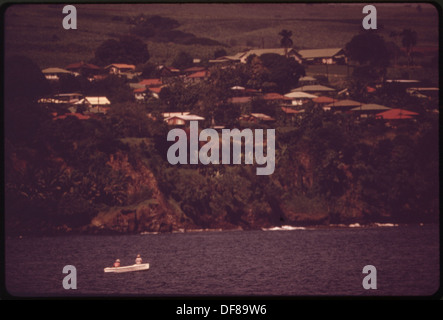 Une vue panoramique sur le littoral depuis la région de Hilo, capturant la beauté naturelle de la côte, avec l'océan rencontrant une végétation luxuriante typique du paysage hawaïen. Banque D'Images