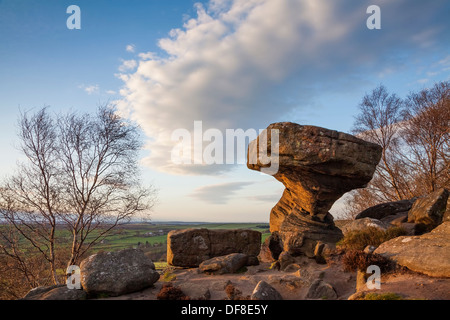 Le Druid's Table, Brimham Rocks, Yorkshire du Nord. Banque D'Images