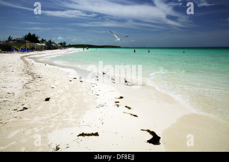 Jouer Pilar, l'une des meilleures plages de Cuba - de Cayo Guillermo, Cuba Banque D'Images