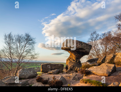 Le Druid's Table, Brimham Rocks, Yorkshire du Nord. Banque D'Images