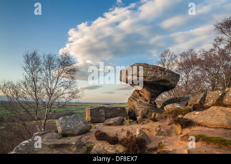 Le Druid's Table, Brimham Rocks, Yorkshire du Nord. Banque D'Images