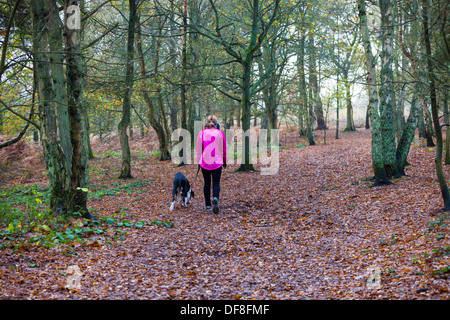 Femme marchant avec le dogue allemand chiot Banque D'Images
