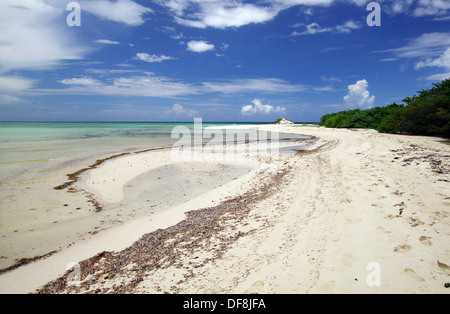 Plage déserte de Cayo Coco, Cuba Banque D'Images