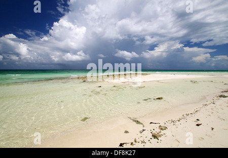 Plage déserte de Cayo Coco, Cuba Banque D'Images