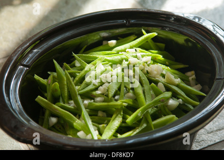 La préparation d'un repas d'haricots verts à la tomate et l'huile d'olive n'une mijoteuse. Banque D'Images