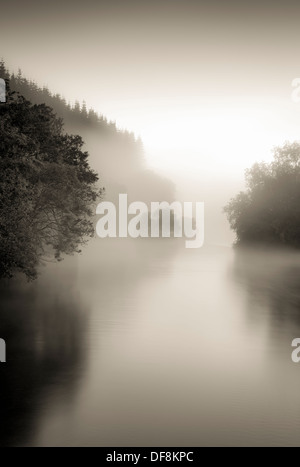 Un matin brumeux fournit la séparation entre les différents groupes d'arbres le long des rives de la rivière Eamont à Pooley Bridge. Banque D'Images