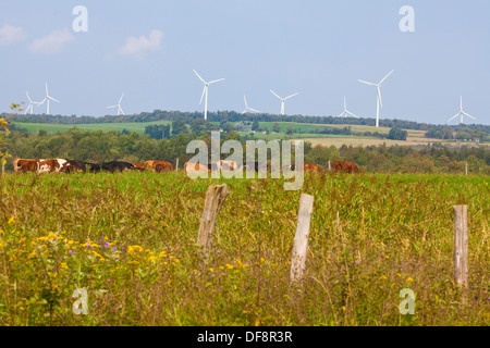 La Fenner Wind Farm est représentée dans le comté de Madison, New York Banque D'Images