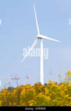 La Fenner Wind Farm est représentée dans le comté de Madison, New York Banque D'Images