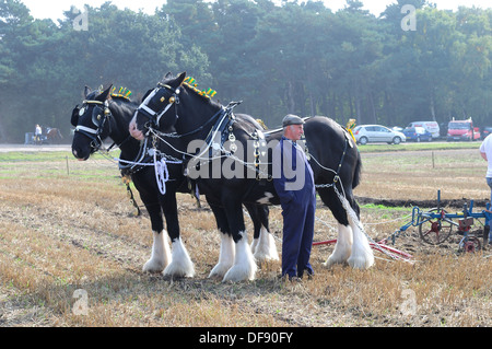 Southwell de labour et afficher dans le Nottinghamshire County,UK. Banque D'Images