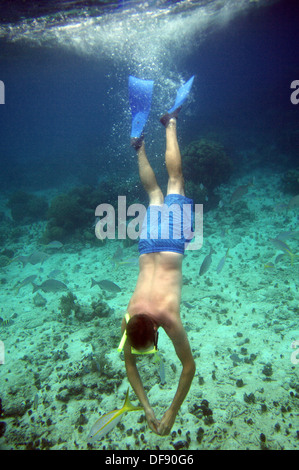 Plongée avec tuba dans la baie des Cochons, Cuba Banque D'Images