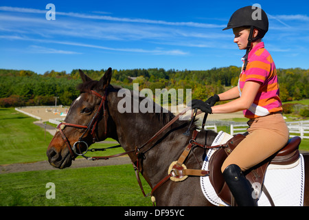 Jeune femelle cavalier monté sur un cheval hongre thoroughbred baie d'entraînement à l'extérieur de l'Ontario Canada anneau Banque D'Images