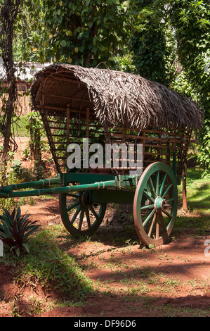 Ancien, vert, charrette à deux roues. Banque D'Images