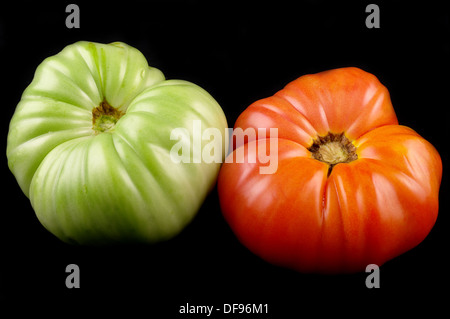 deux tomates Banque D'Images