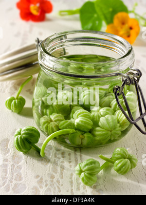 Préparation et préparation de graines de nasturtium fraîches et prélevées un décor de cuisine Banque D'Images